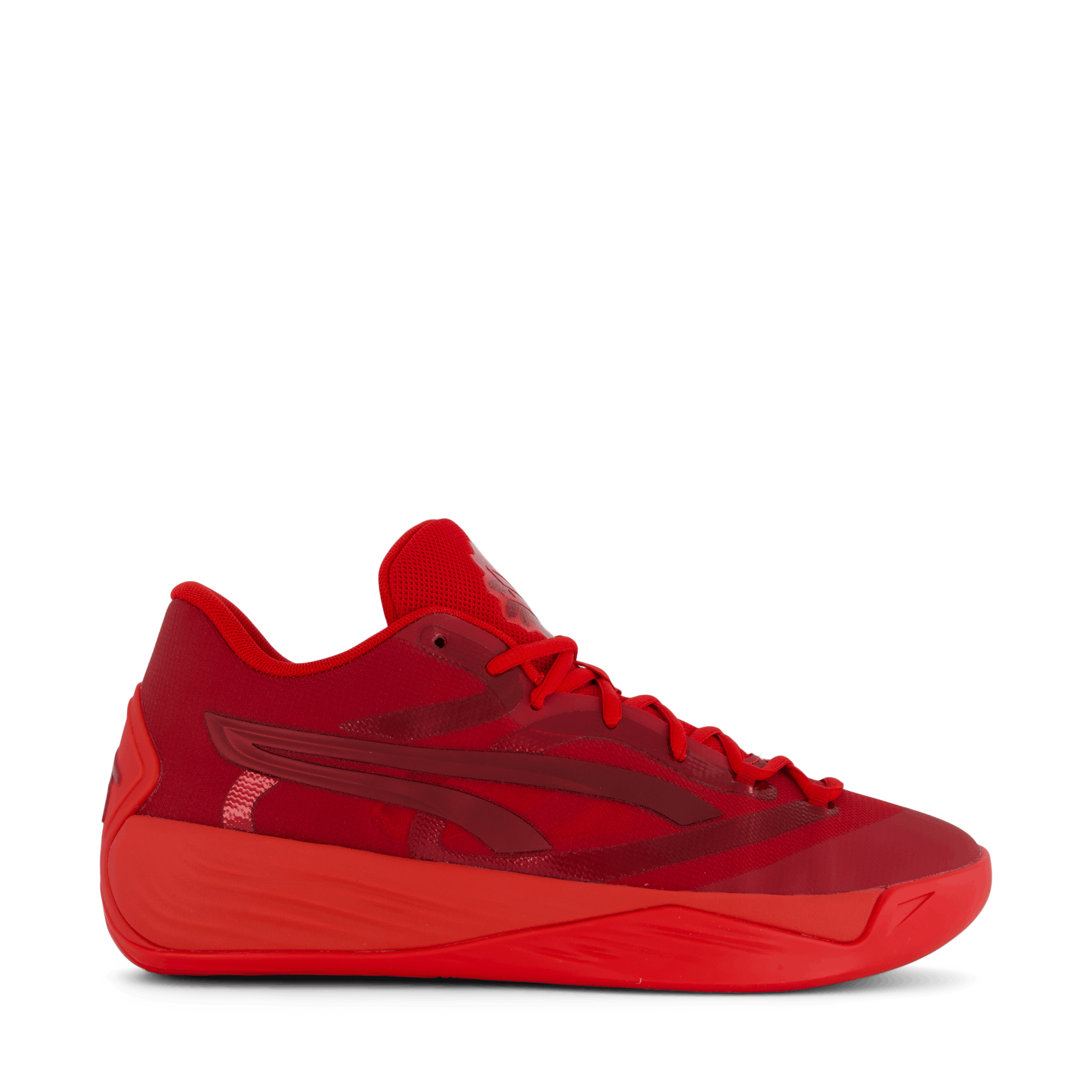 STEWIE – Solestory