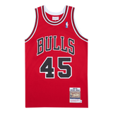 Bulls Authentic 1994 Jordan