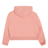 Women's Df Std Issue Po Hoodie Lt Madder