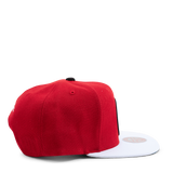 Nets Cardinal 2 Tone Snapback