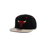 Bulls Pin Drop Snapback