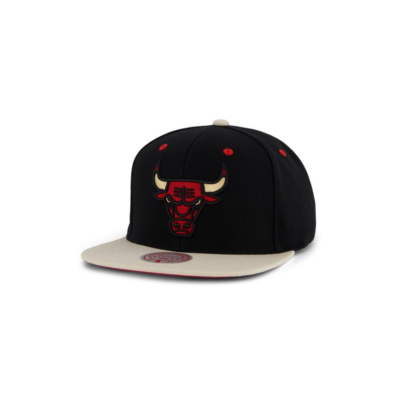 Bulls Pin Drop Snapback