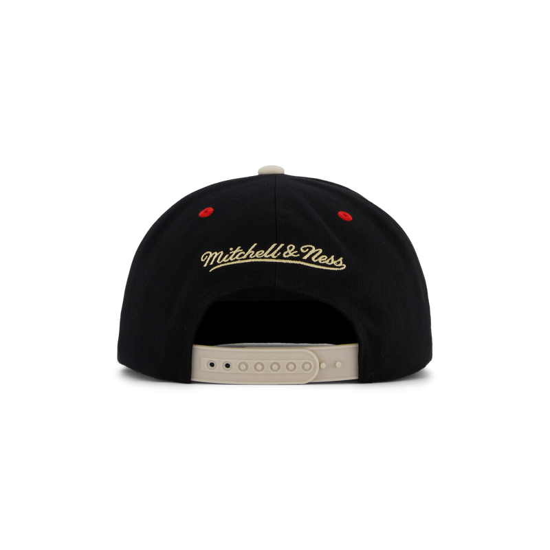 Bulls Pin Drop Snapback