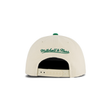 Celtics Reframe Retro Snapback HWC