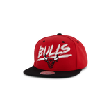 Bulls Transcript Snapback