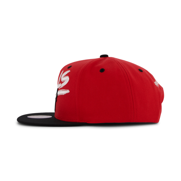 Bulls Transcript Snapback