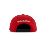 Bulls Transcript Snapback