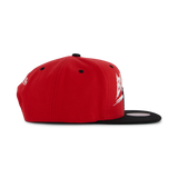 Bulls Transcript Snapback