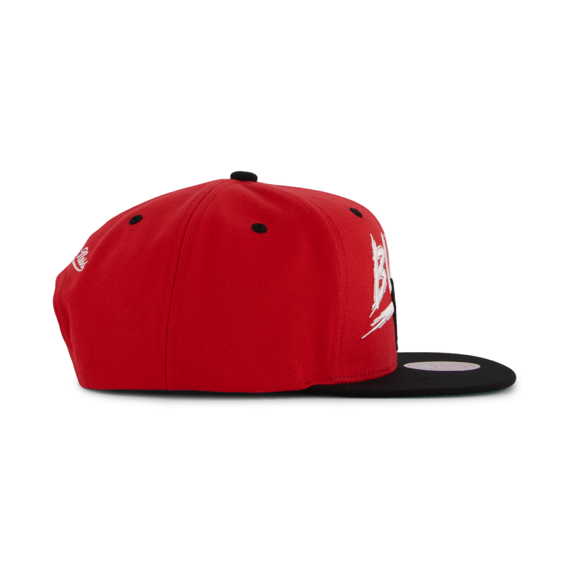 Bulls Transcript Snapback