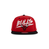 Bulls Transcript Snapback