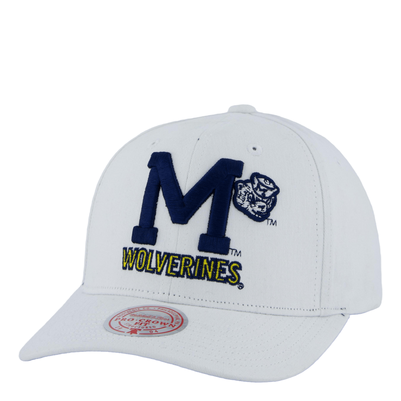 Wolverines All In Pro Snapback