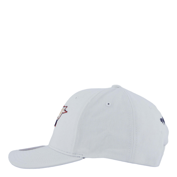 Warriors All In Pro Snapback HWC