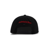 Bulls Champions Era Snapback HWC