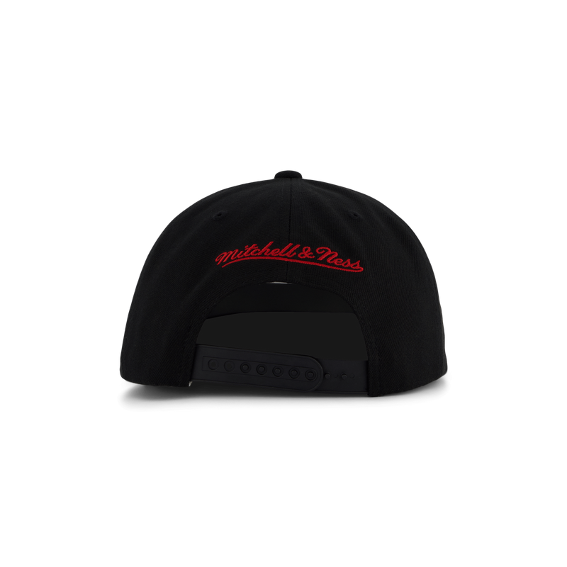 Bulls Champions Era Snapback HWC