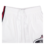 Heat Cracked Cement Swingman Shorts 1996