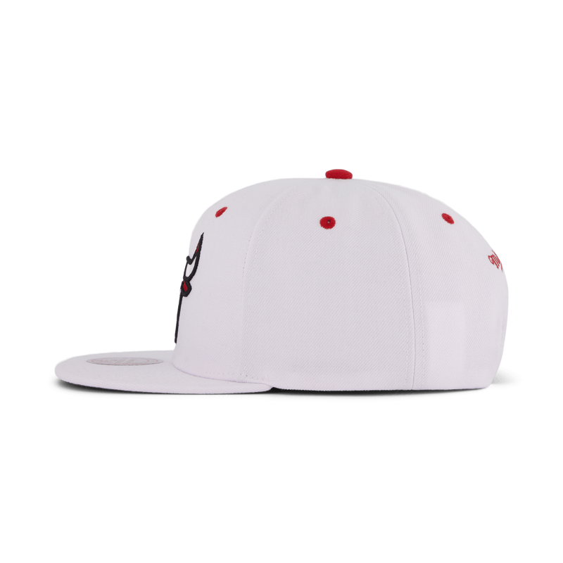 Bulls White Team Color Snapback