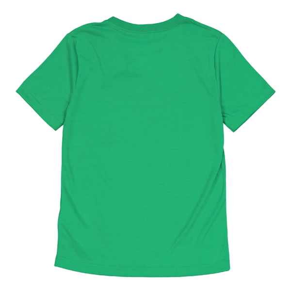 Jordan HBR SUSTAINABLE SS TEE