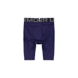 UA Hg Armour Lng Shorts