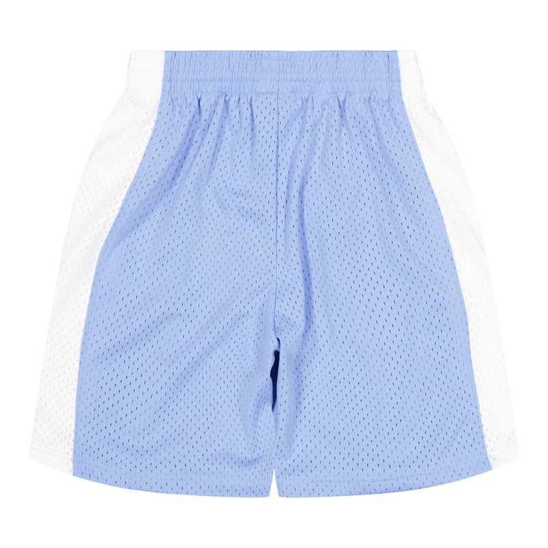 UNC Swingman Shorts