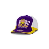 Lakers Retrodome Pro Snapback