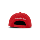 Bulls Champ Stack Snapback