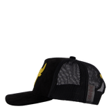 Suede Trucker Black/gold