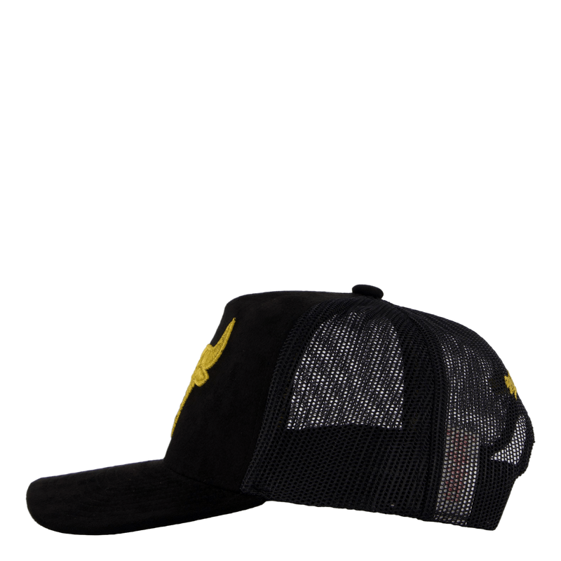 Suede Trucker Black/gold