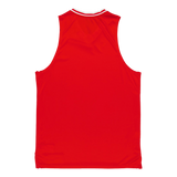 Hoops Team Game Jersey Puma Red