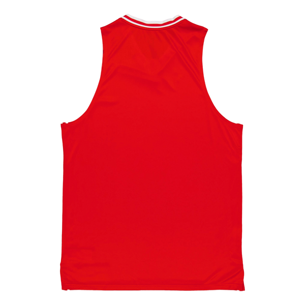 Hoops Team Game Jersey Puma Red