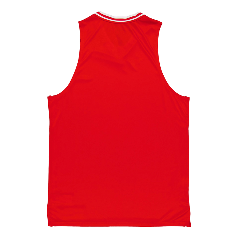 Hoops Team Game Jersey Puma Red