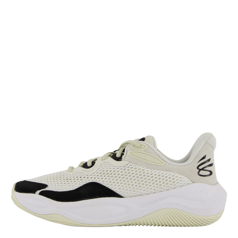 Curry Splash 24 Sde White