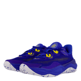 Curry Splash 24 Royal