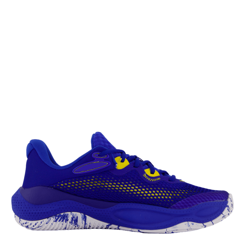 Curry Splash 24 Royal