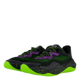 Curry Splash 24 Purple