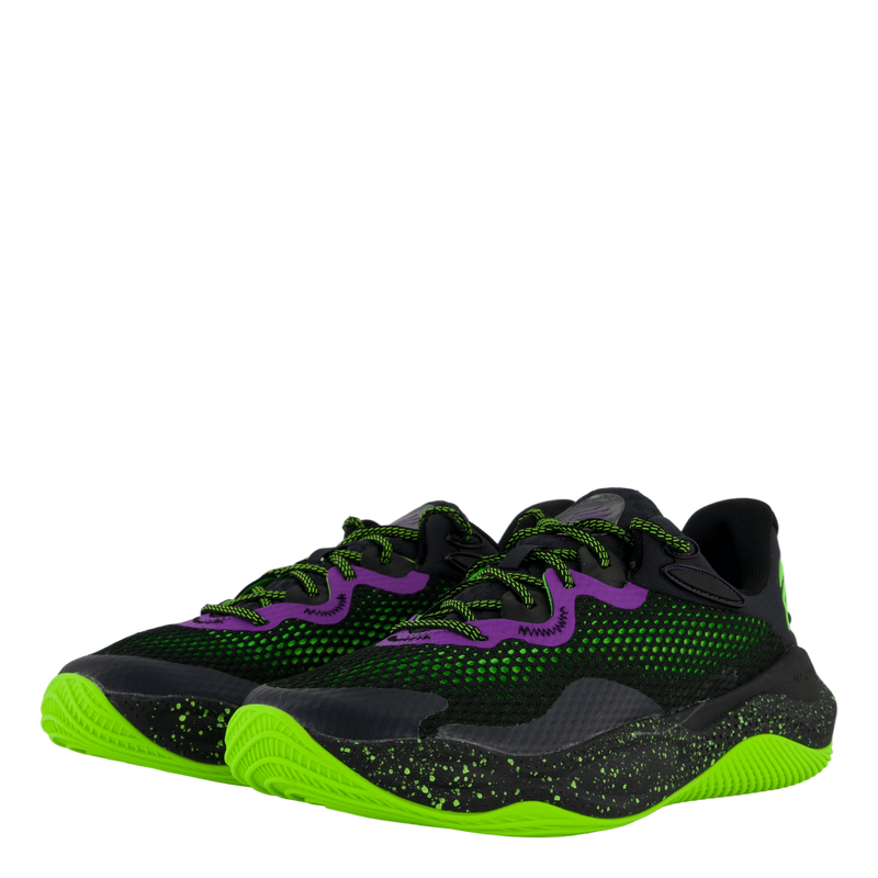 Curry Splash 24 Purple