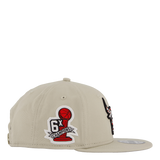 Seasonal Infill 9fifty Chicago Stnfdr