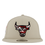 Seasonal Infill 9fifty Chicago Stnfdr