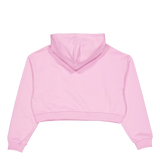 Ne Arch Wrdmrk Crop Hoody New  Fpklvr