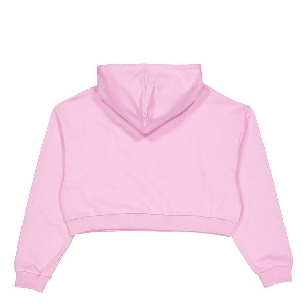 Ne Arch Wrdmrk Crop Hoody New  Fpklvr