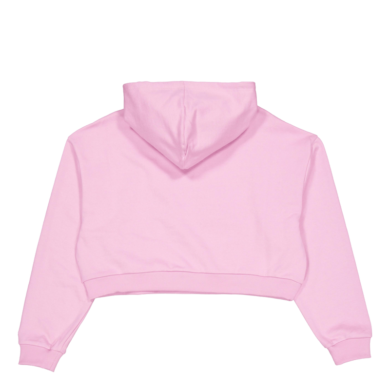 Ne Arch Wrdmrk Crop Hoody New  Fpklvr