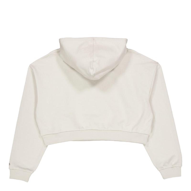 Ne Arch Wrdmrk Crop Hoody New  Stnabr