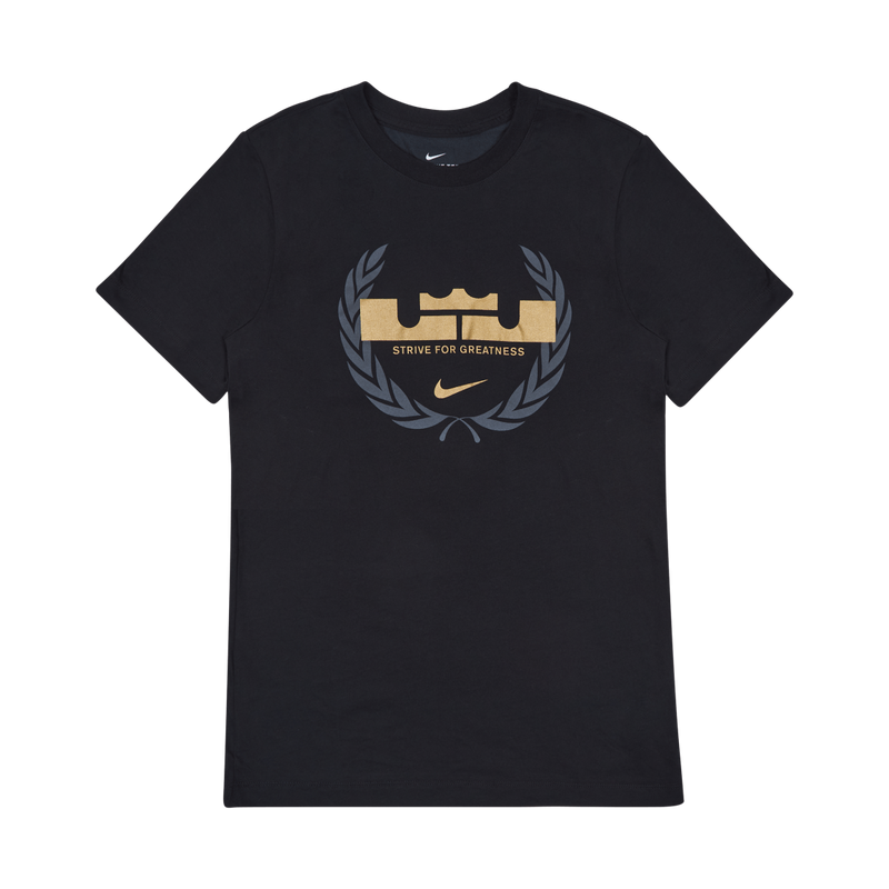 Dri-Fit Hoodie LeBron Sfg