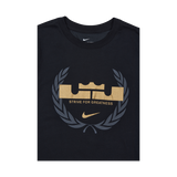 Dri-Fit Hoodie LeBron Sfg
