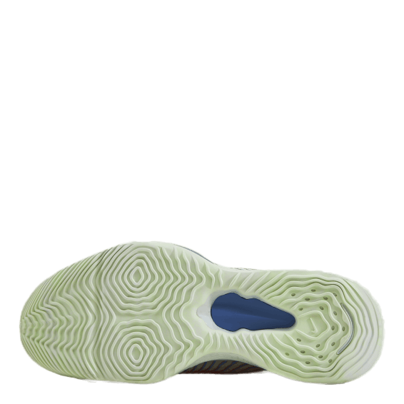 Air Zoom BB Nxt