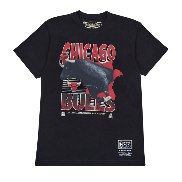 Bulls Scenic Tee
