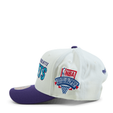 Hornets 96 Nba Draft Pro Crown Off