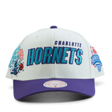 Hornets 96 Nba Draft Pro Crown Off