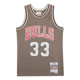 Bulls Astro Swingman Jersey - Scottie Pippen