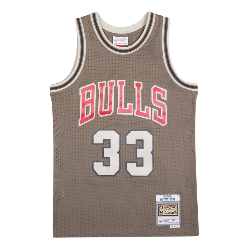 Bulls Astro Swingman Jersey - Scottie Pippen