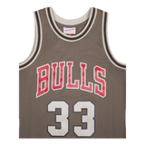 Bulls Astro Swingman Jersey - Scottie Pippen